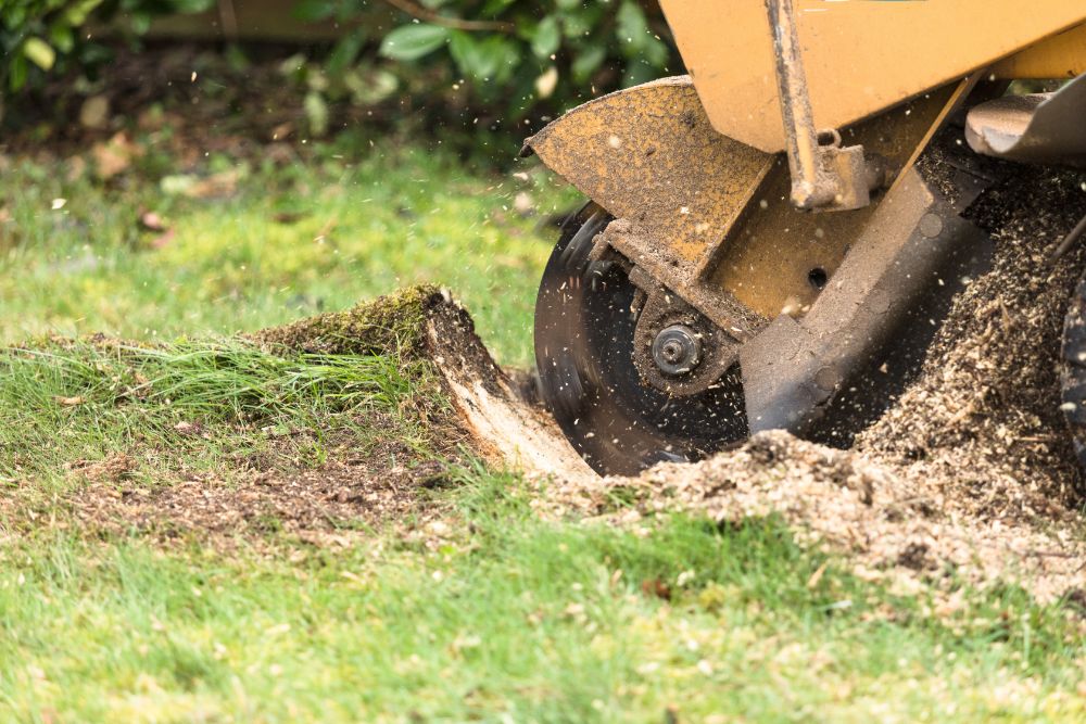 stump grinding Boise