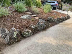 nampa landscaping