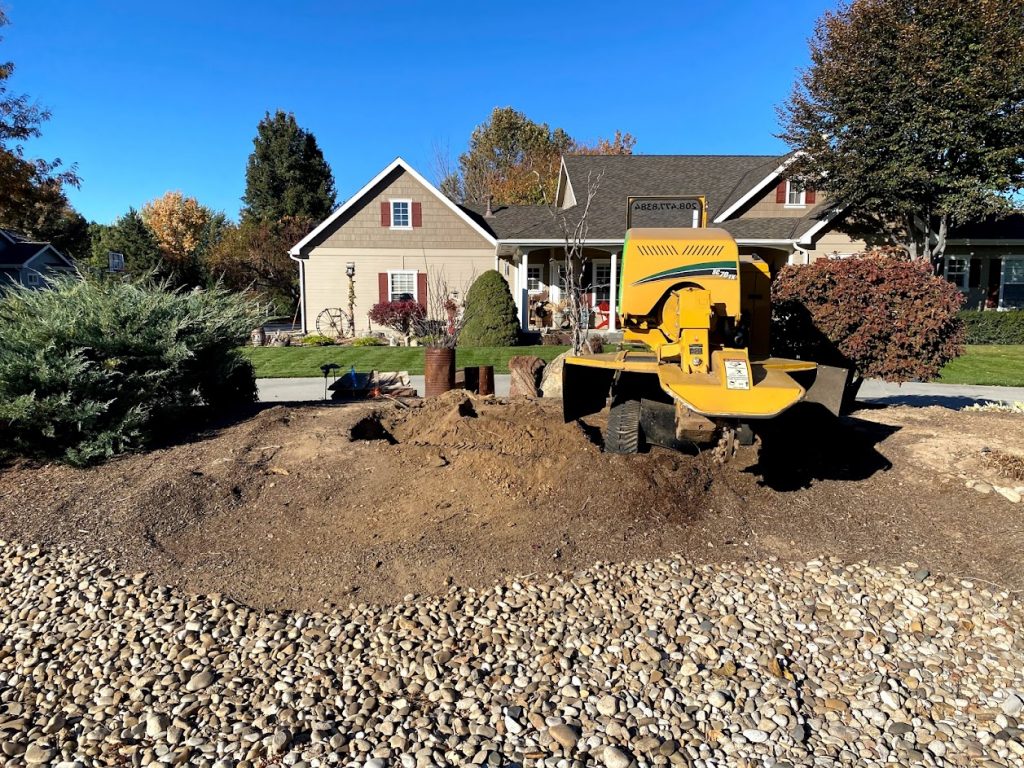 stump grinding near me