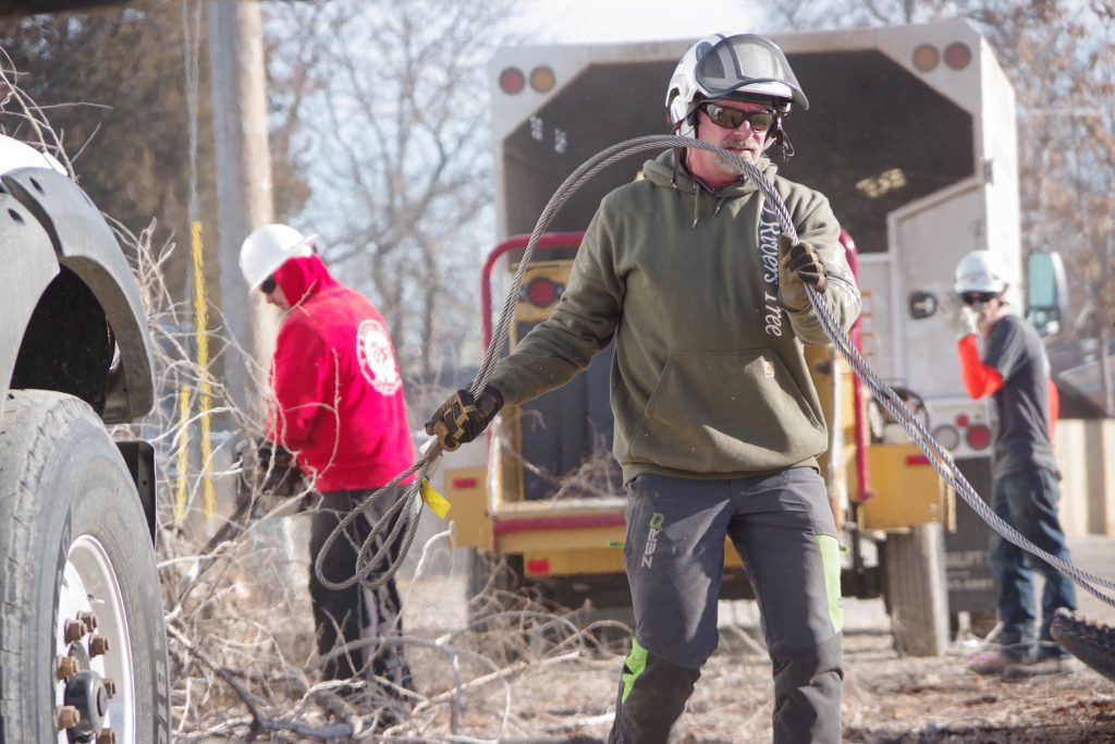 Boise Tree Service