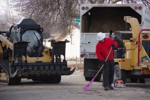 Boise tree care company