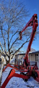 Boise tree removal