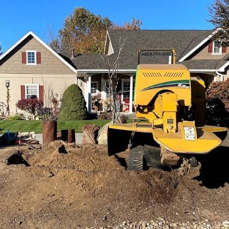 Boise stump grinding